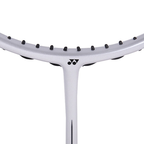 �����˹ARC-10��ë����ͼ3