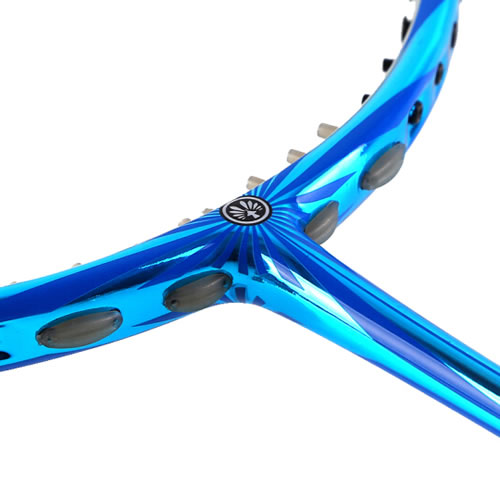 ������RADIANCE 700��ë����ͼ3