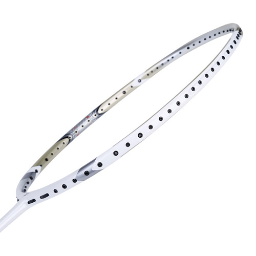 �����˹ARC-10��ë����ͼ2