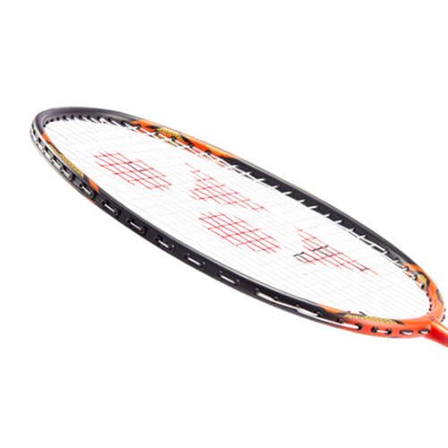 �����˹VT-1DG��ë����ͼ2