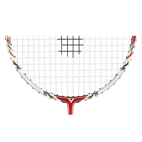 ʤ��TK-8000��ë�����Ŀ�