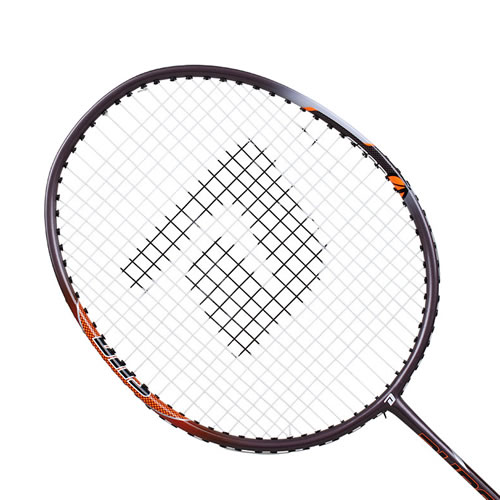 ��˫ϲSTAR401��ë����ͼ2