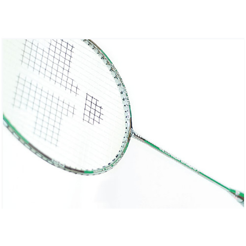 ��ʨ��X2 AP��ë�����Ŀ�