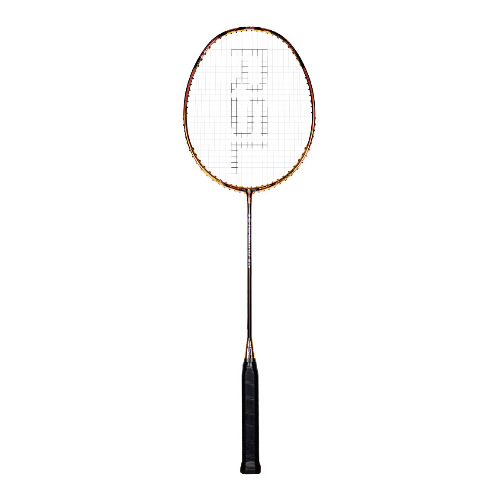 ��ʨ��X5 GOLD��ë����