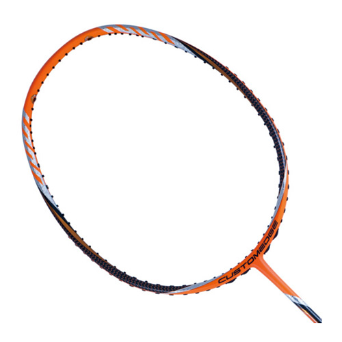 ����TYPE X���Ƴ��֢����ë����ͼ1