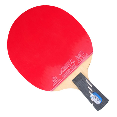 ����10Dƹ������