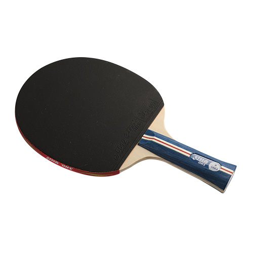 ��˫ϲR1003ƹ������