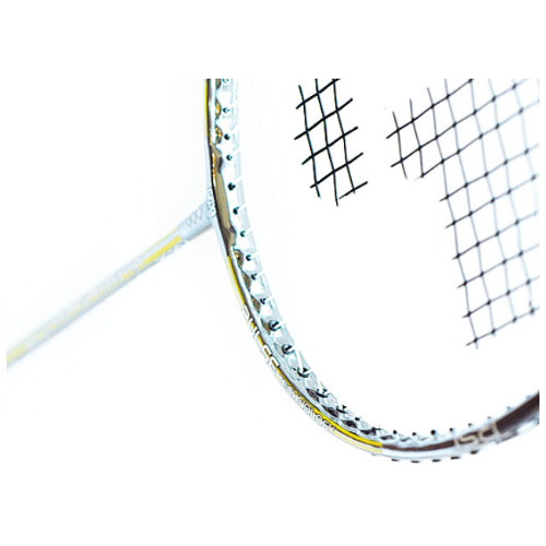 ��ʨ��X2 FP��ë�����Ŀ�