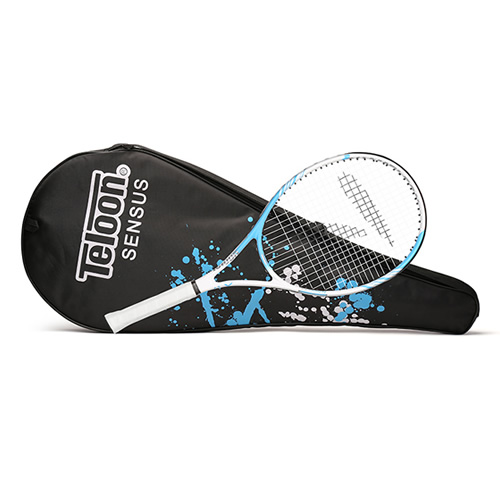 ����SENSUS XIV������