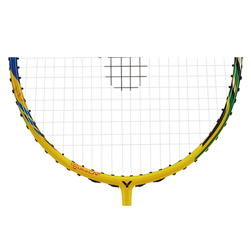 ʤ��HX-800LTD C��ë�����Ŀ�