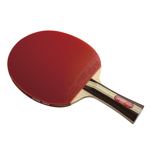 ��˫ϲR3002Bƹ������