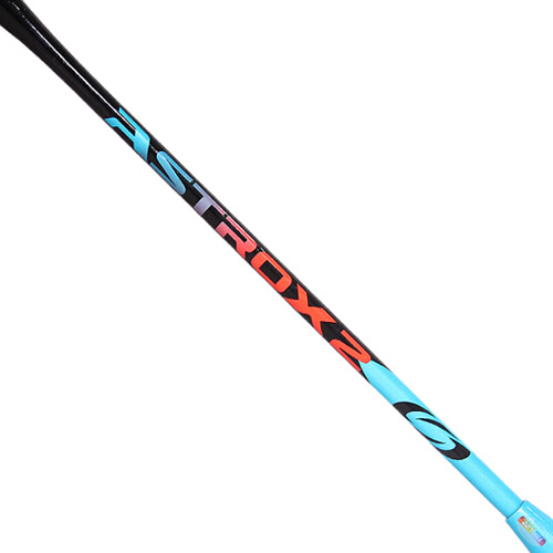 �����˹AX-2��ë����ͼ4