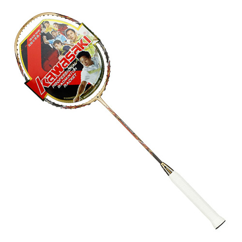 ����P510��ë����