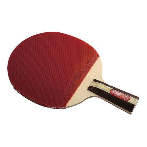 ��˫ϲR3004ƹ������