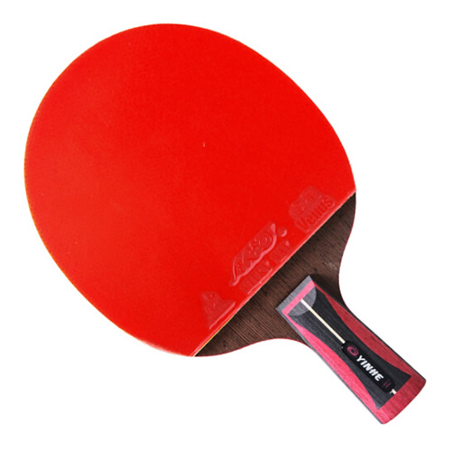 ����13Dƹ������