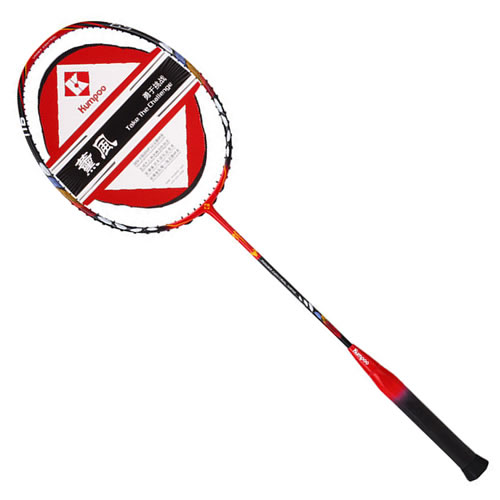 ޹��FALCON����ë����ͼ3