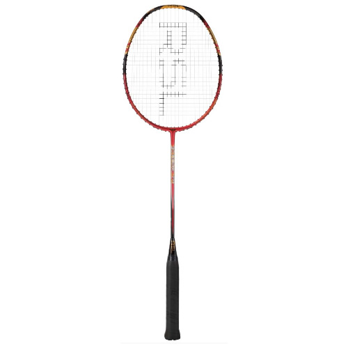 ��ʨ��RAGE 300��ë����