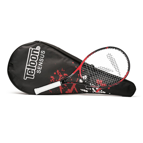 ����SENSUS XIII������