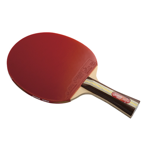 ��˫ϲR3001ƹ������