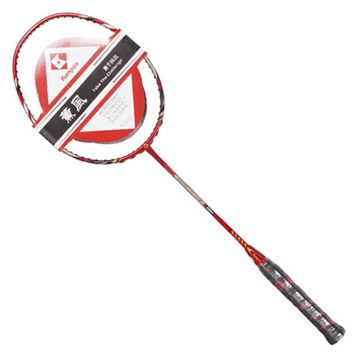 ޹��2300II��ë����ͼ1