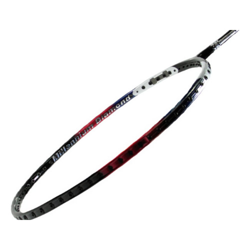 ��ʨ��X1��ë�����Ŀ�