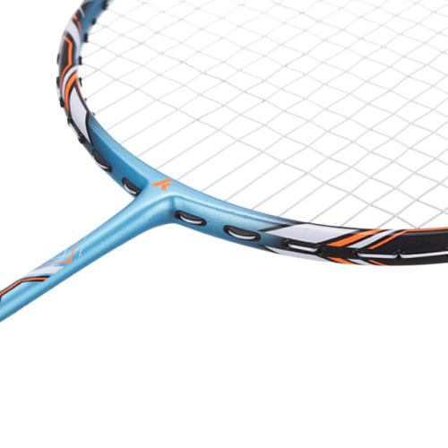 ����P500��ë����ͼ1