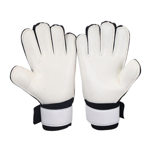 ����SG580����Ա����ͼ2