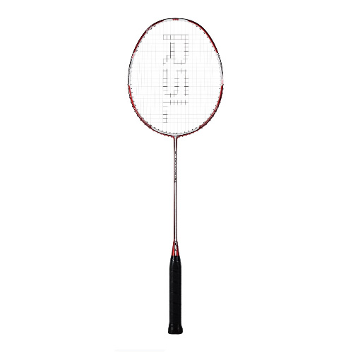 ��ʨ��EVR2��ë����