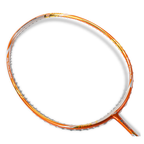 ����X-Phoenix 1203II��ë����ͼ1