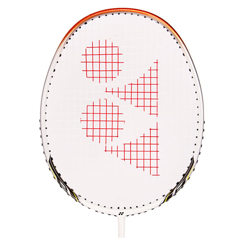 �����˹NR-D11��ë����ͼ1