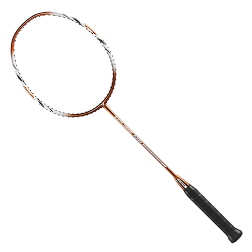 ʤ��EXPLORER 6299��ë����