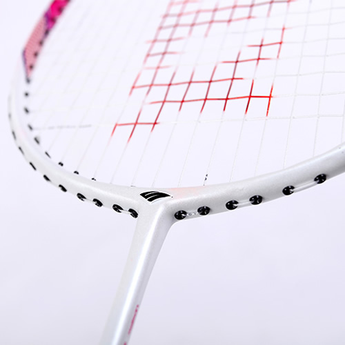 ����DR520R+��ë�����Ŀ�