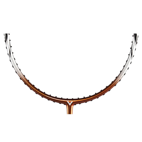 ʤ��EXPLORER 6299��ë�����Ŀ�