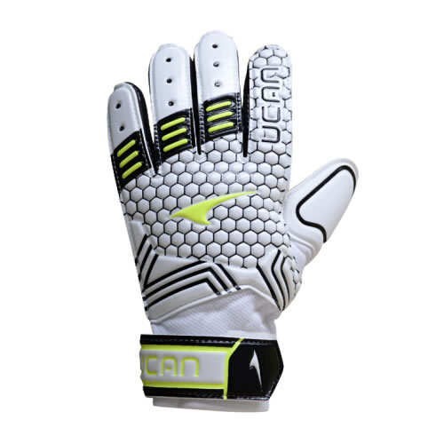 ���VD8512����Ա����ͼ5