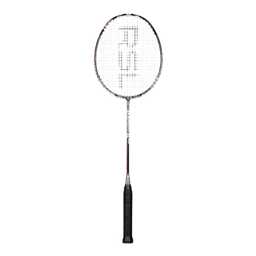 ��ʨ��X5 SILVER��ë����