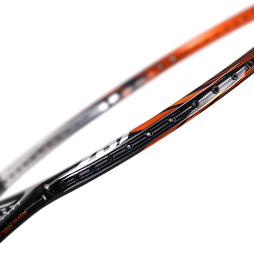 ��ʨ��LIGHTNING 767��ë����ͼ4