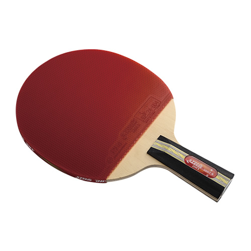 ��˫ϲR3007ƹ������