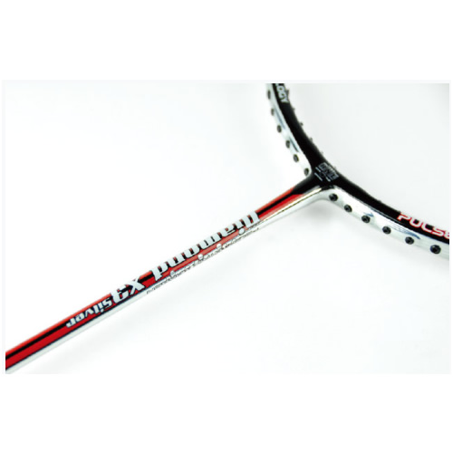 ��ʨ��X3 SILVER��ë�����ĸ�