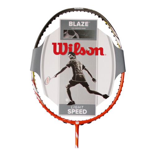 ����ʤBlaze 300��ë����ͼ1