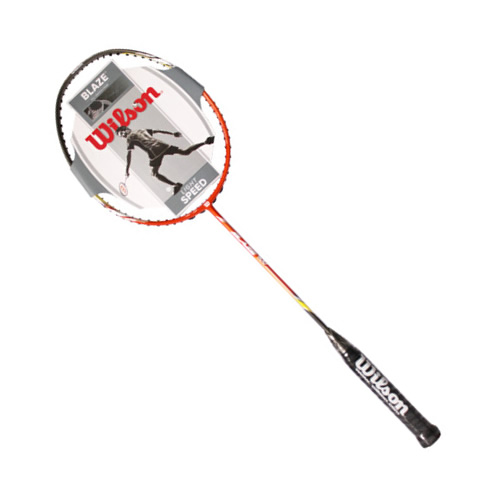 ����ʤBlaze 300��ë����ͼ2