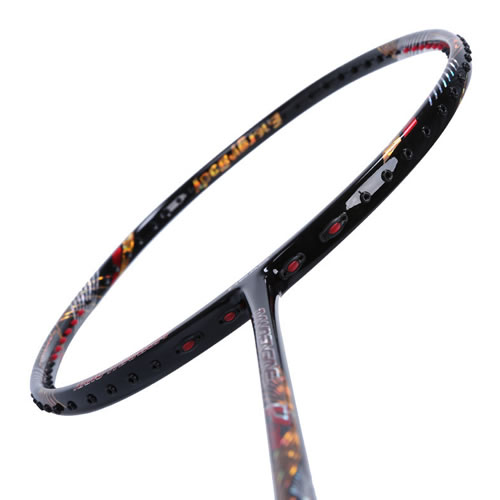 ����NANOENGINE P39��ë����ͼ2