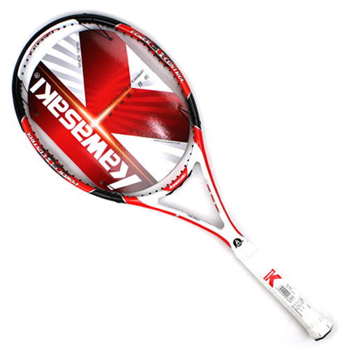 ����SHARP 500������ͼ2