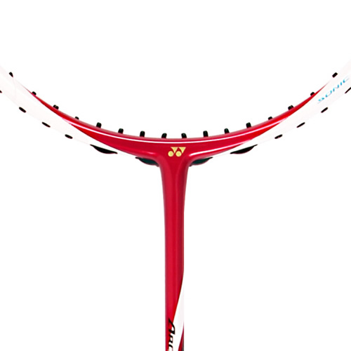 �����˹ARC-11��ë����ͼ3