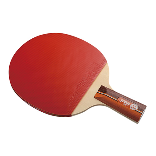 ��˫ϲR2006ƹ������