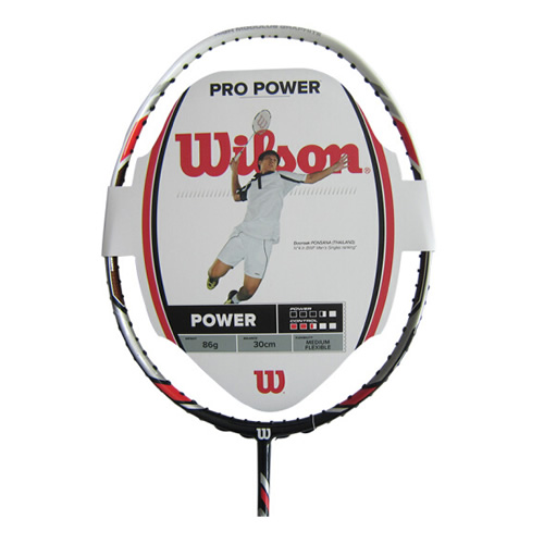 ����ʤPro Power��ë����ͼ1