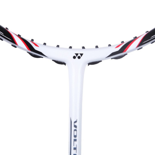 �����˹VT-5FX��ë����ͼ2