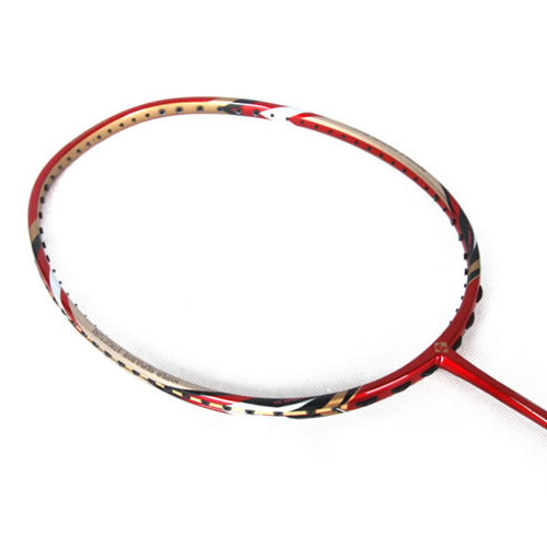 ޹��2300II��ë����ͼ2