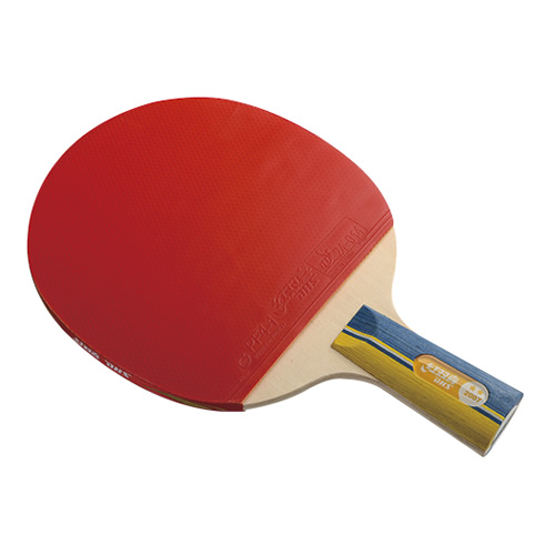 ��˫ϲR2007ƹ������