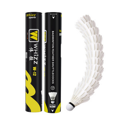 ΰǿW-12��ë��