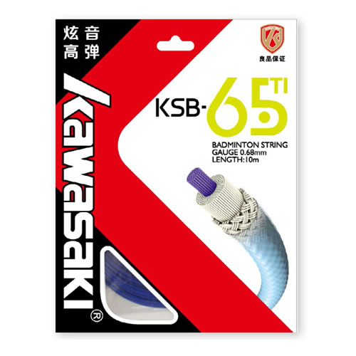 ����KSB-65TI��ë������ͼ3